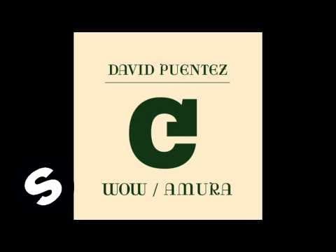 David Puentez - Wow (Original Mix)