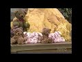 Sesame Street Clip MPTV 2006