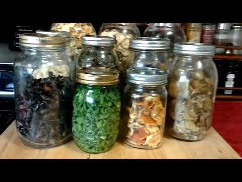 download lagu mp3 mp4 Things You Can Dehydrate, download lagu Things You Can Dehydrate gratis, unduh video klip Things You Can Dehydrate