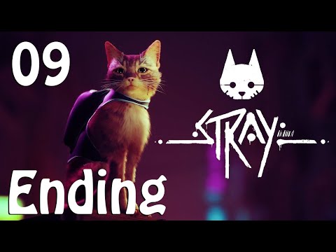 STRAY Walkthrough Gameplay - PART 9 - Control Room + Ending | PS5