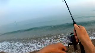 Mad Beach Fishing Fest! Plus Pro Bait room fishing tips revealed | Saxon House Thunderstorm