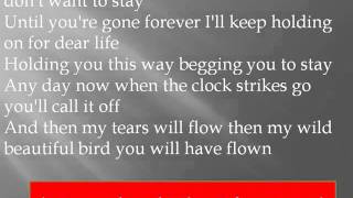 RONNIE MILSAP - Any Day Now Lyrics
