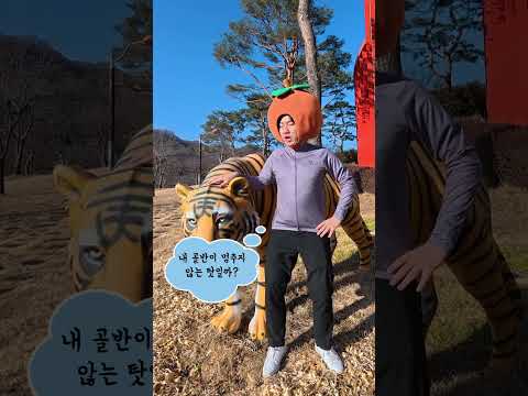 골반이 멈추지 않는 병