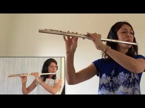 Elegy - Flute Duet