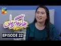 Jadugaryan Episode 22 HUM TV Drama 15 February 2020