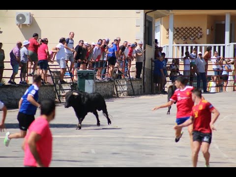 Supersónico encierro de La Campana en Saucelle