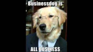 The Hope Conspiracy - Hope Bound Heart, Truth &amp; Purpose, You&#39;ve Been Warned, For Love