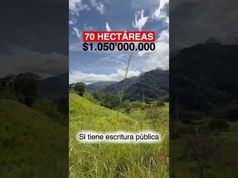 🔥SE VENDE (FINCA) – CON BUENAS PASTADAS Y AGUA🔥Mayor información al número: (+57) 310 355 8414🔥