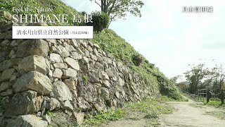 视频缩略图