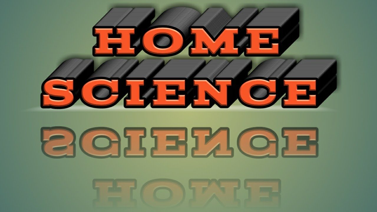 CLASS 12 HOME SCIENCE CHAPTER 7 EARLY CHILDHOOD CARE AND EDUCATION ECCE (ENGLISH)CBSE