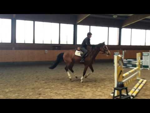 Emmyporter’s Video 129038633938 HmQVzO4Dv-w