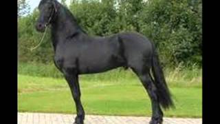 John Denver It Amazes Me