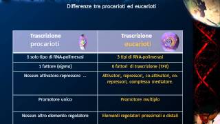 Lezione 20 - RNA polimerasi