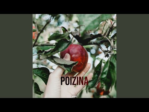 POIZINA