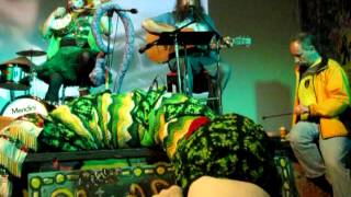 Snake Song Townes Van Zandt Annoysters cover for 2013 Year of the Snake