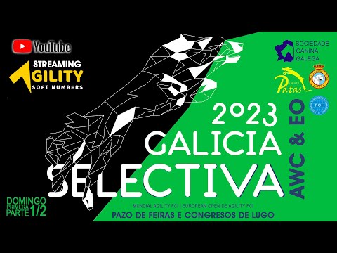 SELECTIVA GALICIA AWC & EO 2023 ( Domingo 29 Enero ) PRIMERA PARTE 1/2