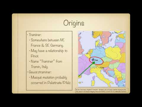 Winecast: Gewürztraminer