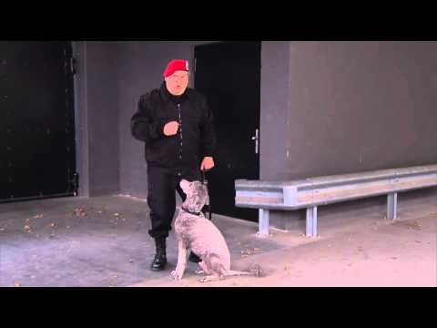 Rickenbachers Kampfhund | Giacobbo / Müller | Comedy | SRF