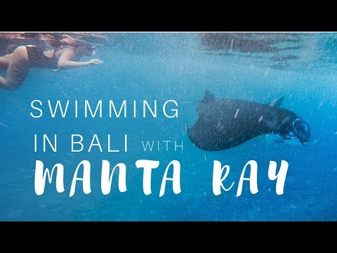 download lagu mp3 mp4 Snorkeling Bali, download lagu Snorkeling Bali gratis, unduh video klip Snorkeling Bali