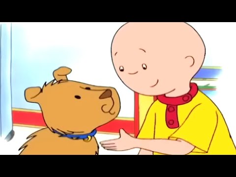 Uusi Ystävä | Kaapo Suomeksi