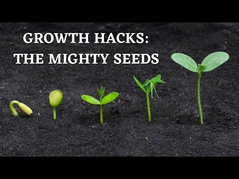 Growth Hacks  The Mighty Seeds