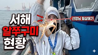 서해 알주꾸미 현실 그대로 보여드립니다 | 선장님이 준 필살 에기 공개합니다 ㅣ대천항 양파호 🛥️