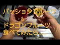 パッションフルーツ u0026ドラゴンフルーツを食べてみたら……