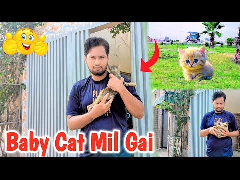 baby Cat mill gai || کھوئی ہوئی بلی مل گئی || Asif saeed vlogs
