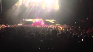 Pantherfest 2014 Timeflies &quot;start it up again&quot;