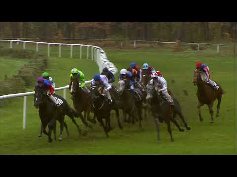 Galopprennbahn Dresden - 20.11.2019 - 8.Rennen