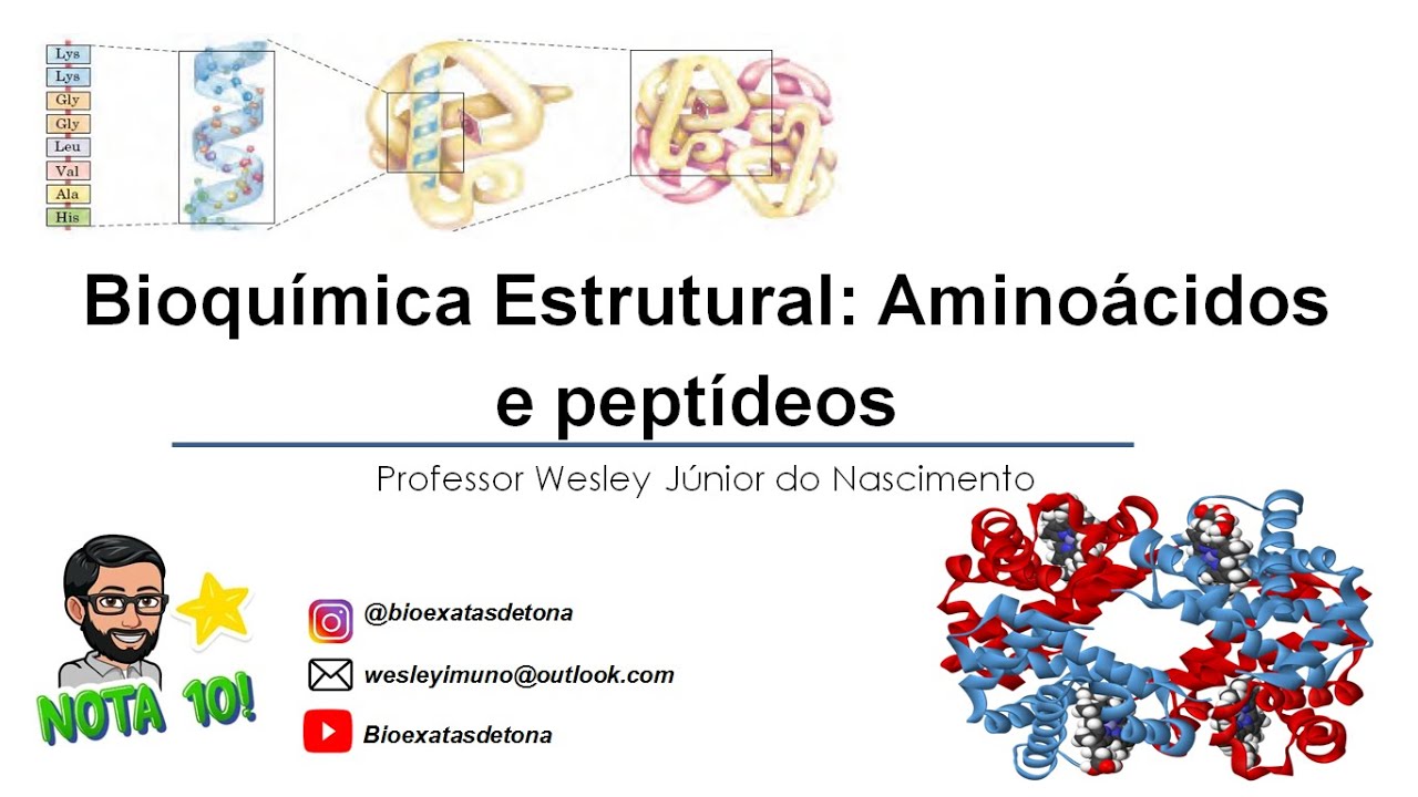 Bioquímica Básica - Aula 03- Aminoácidos e Peptídeos