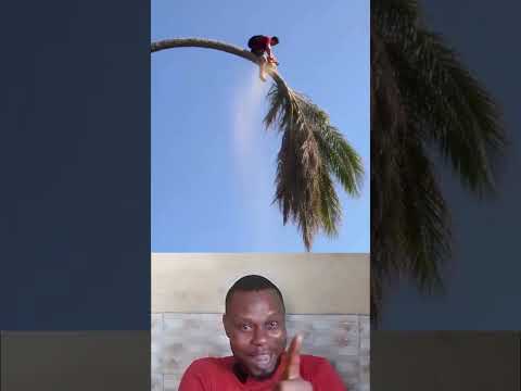 His death wish did not come to pass #funnyvideos