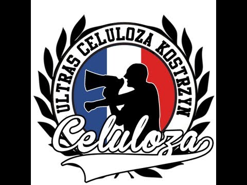 Kibice "Celulozy Kostrzyn".