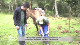 Miniatura do vídeo