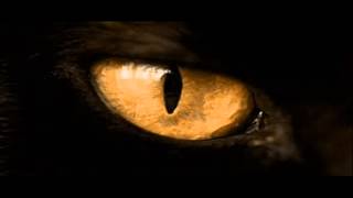 Spinetta y los Socios del Desierto "Nómbrala" (1999)