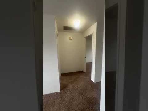 WSouth - Video 2 of 2