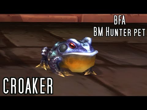 WoW Battle for Azeroth - BM Hunter pet - Croaker - Stormsong Valley