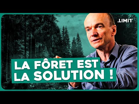 "NOS FORÊTS VONT-ELLES DISPARAÎTRE ?"  - LAURENT TESTOT | LIMIT