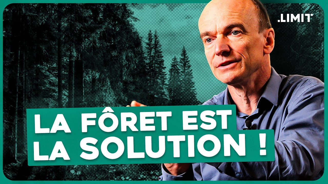 "NOS FORÊTS VONT-ELLES DISPARAÎTRE ?"  - LAURENT TESTOT | LIMIT