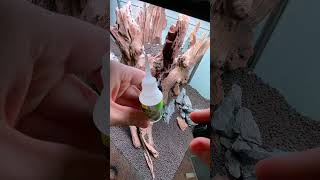 INVITAL HardScape Glue 20 g - lepidlo na dekorácie