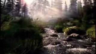 allison crowe silence