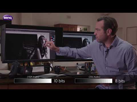 BenQ SW240 8 Bit vs 10 Bit Panel Photographer Monitor | Darer