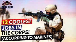 12 Coolest Jobs In The Marine Corps! (According to