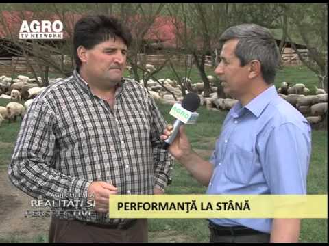 Realitati si Perspective Performanta la stana