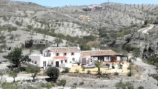 REF: SA884. 8 bed Cortijo/Villa for sale in Albox, Almeria, Andalucia, Spain