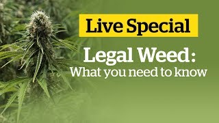 What you need to know about cannabis in Canada