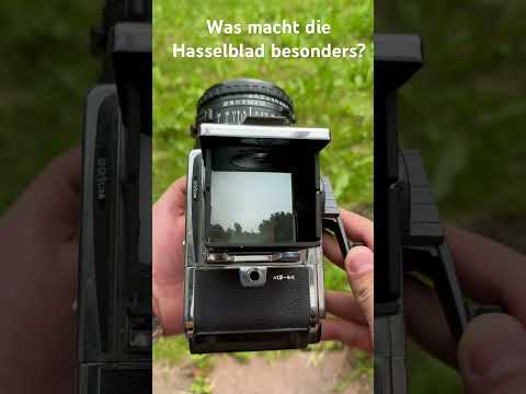 Ein Blick durch die Hasselblad – pure Magie #hasselblad #fotografie #analoglove