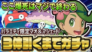 もう爆死はできない4周年直前「マオ＆マシェード」バラエティ限定ガチャを3体引くまで終われない！！【ポケマス / ポケモンマスターズEX】