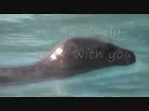 Shark Week 2013 - Snuffy the Seal | Sunday Aug 4 9|8c - Save Snuffy from Discovery's Shark Week Ad