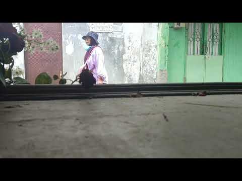 Kumpulan Lagu Top Trending Spotify Indonesia • Hits & Viral Paling Sering Diputar